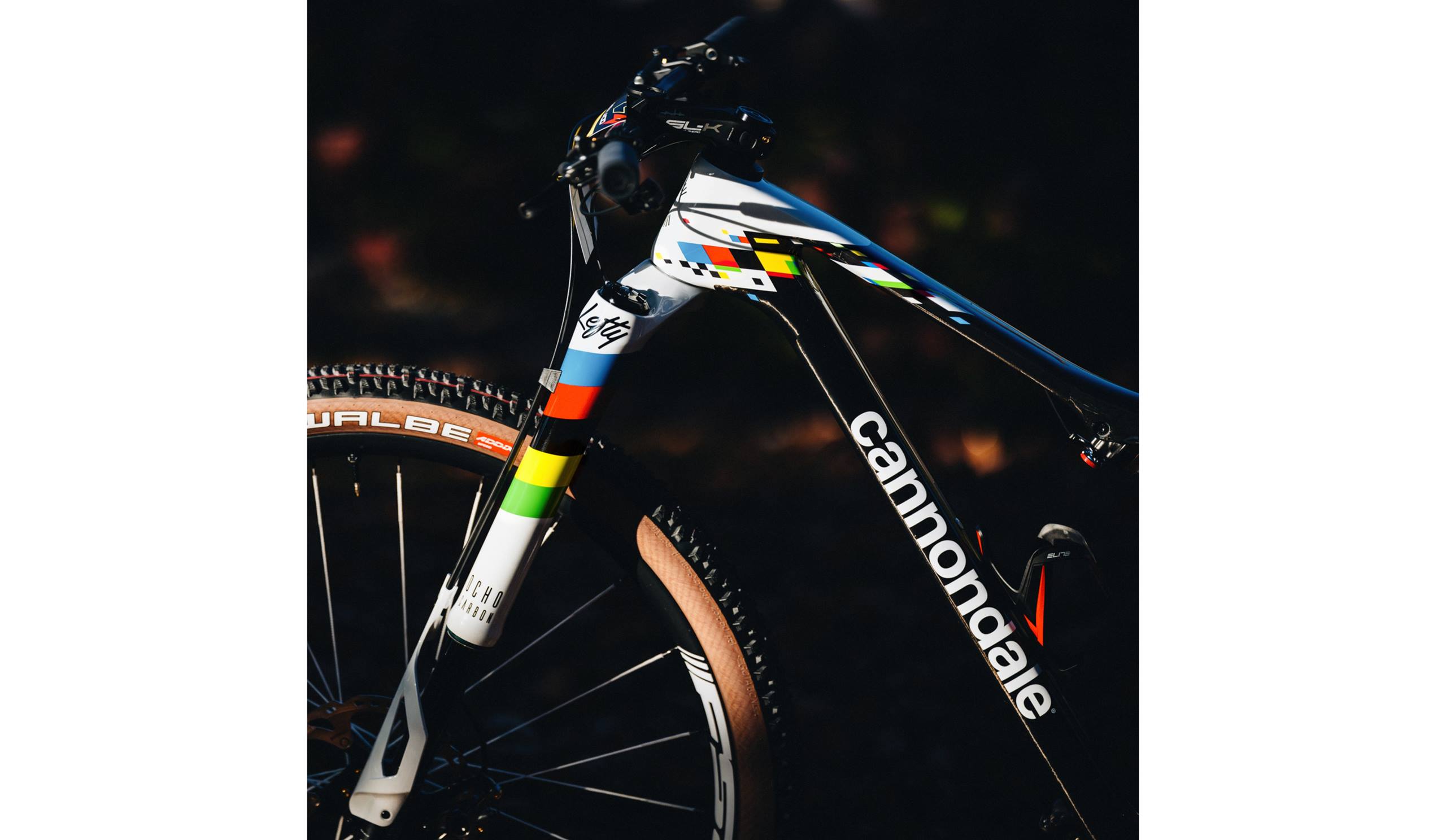 Cannondale world cup online