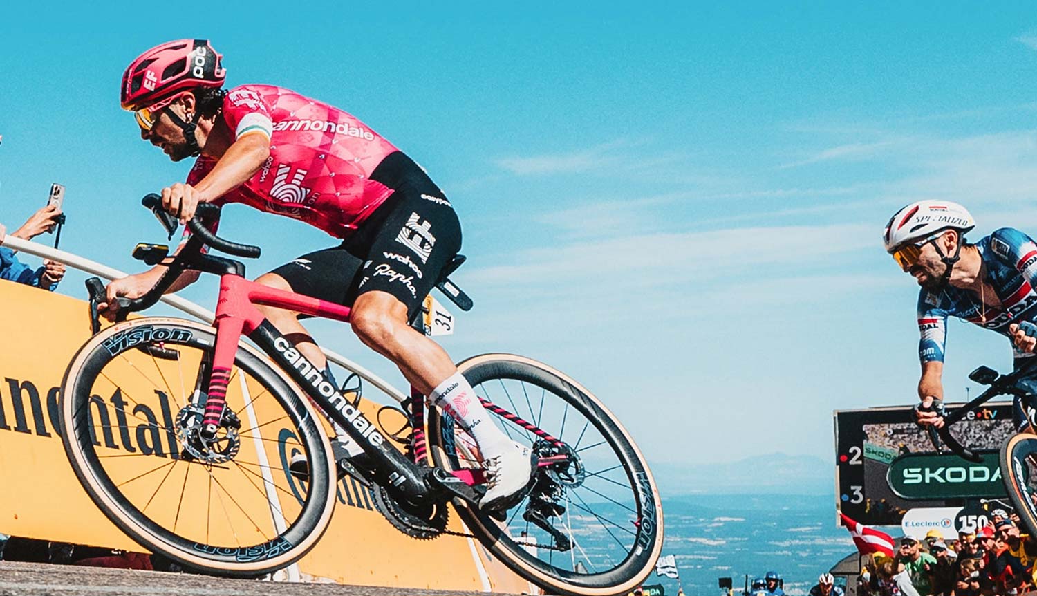 Paris Wears Pink | Cannondale
