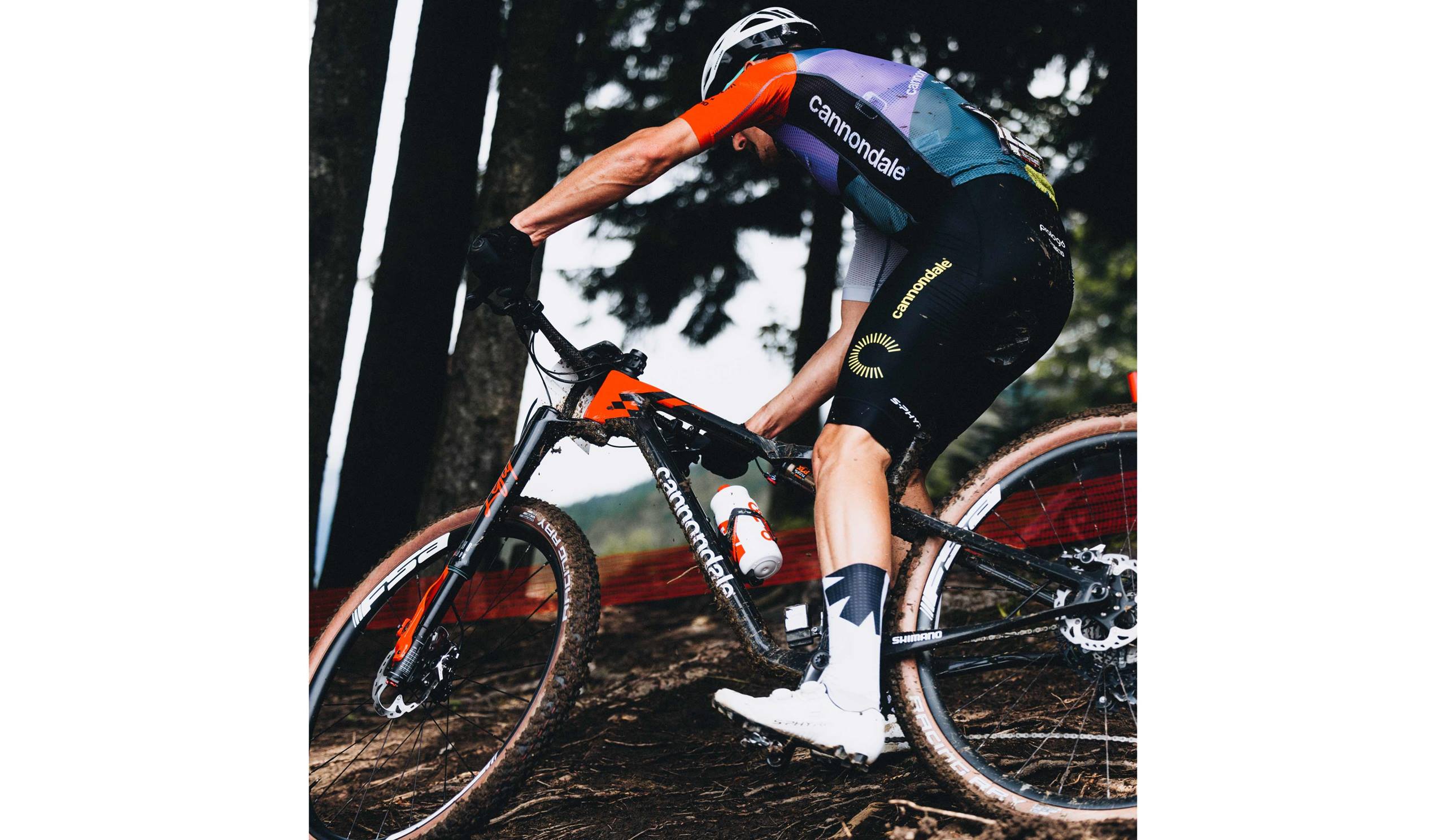 Cannondale cup clearance