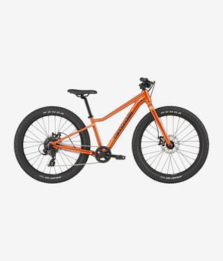 kids mountain bike