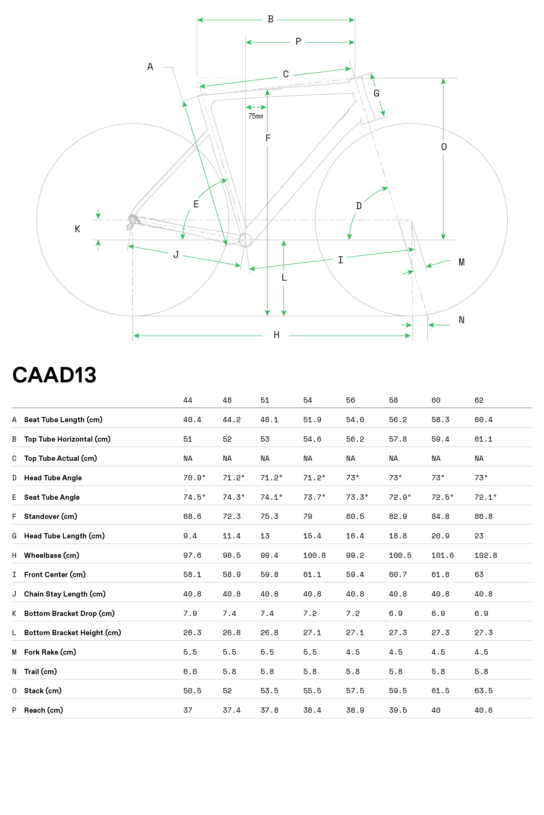 cannondale caad10 sizing