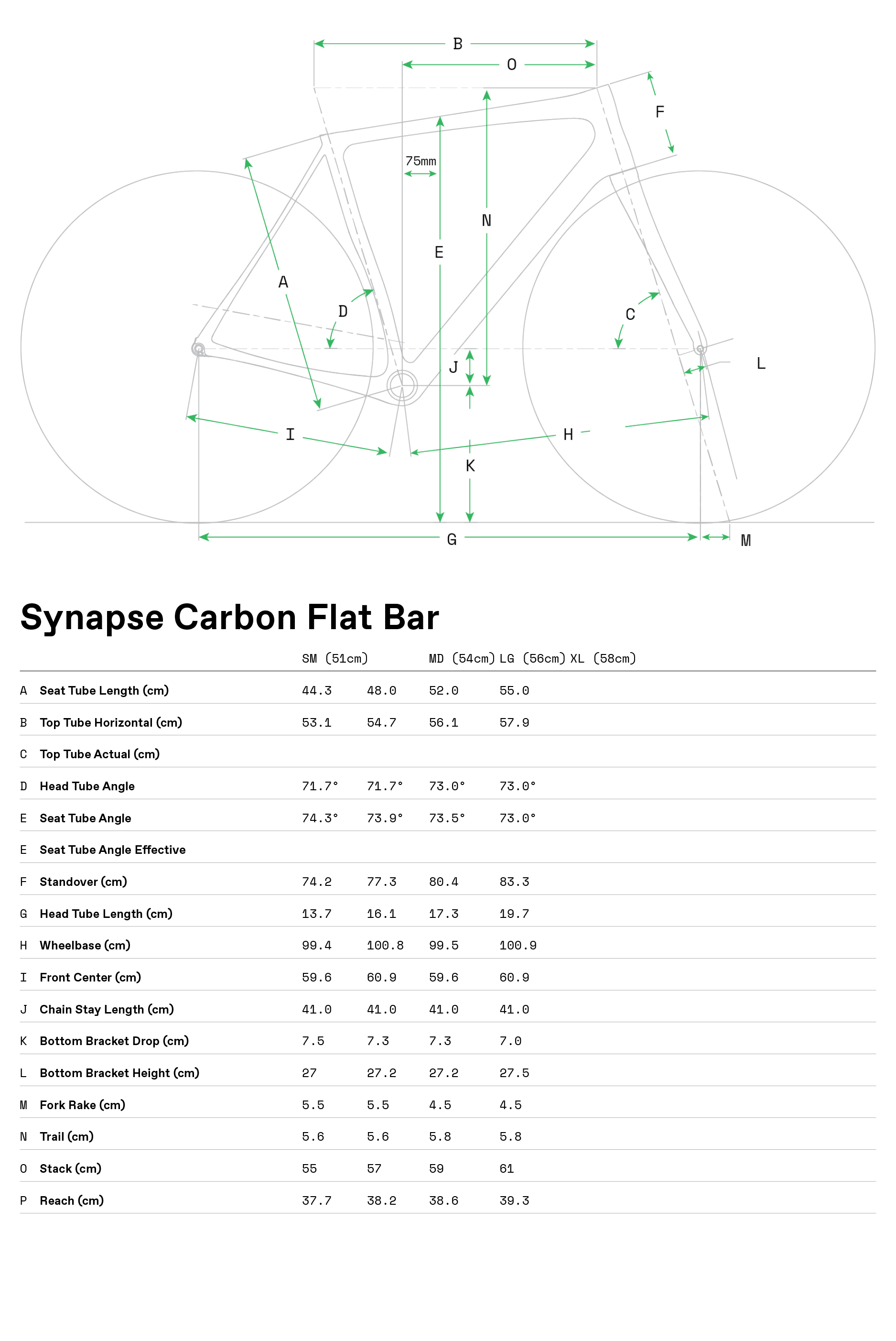 synapse flat bar