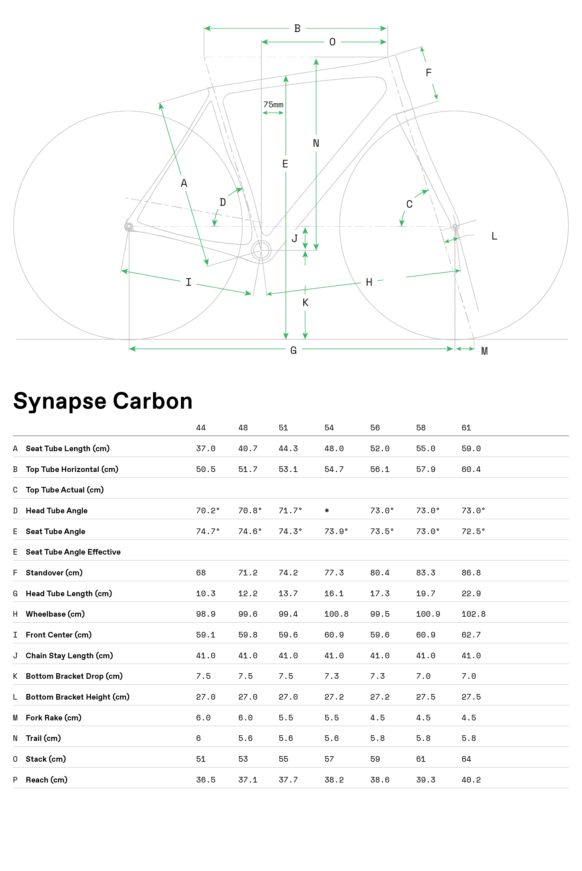 synapse carbon tiagra