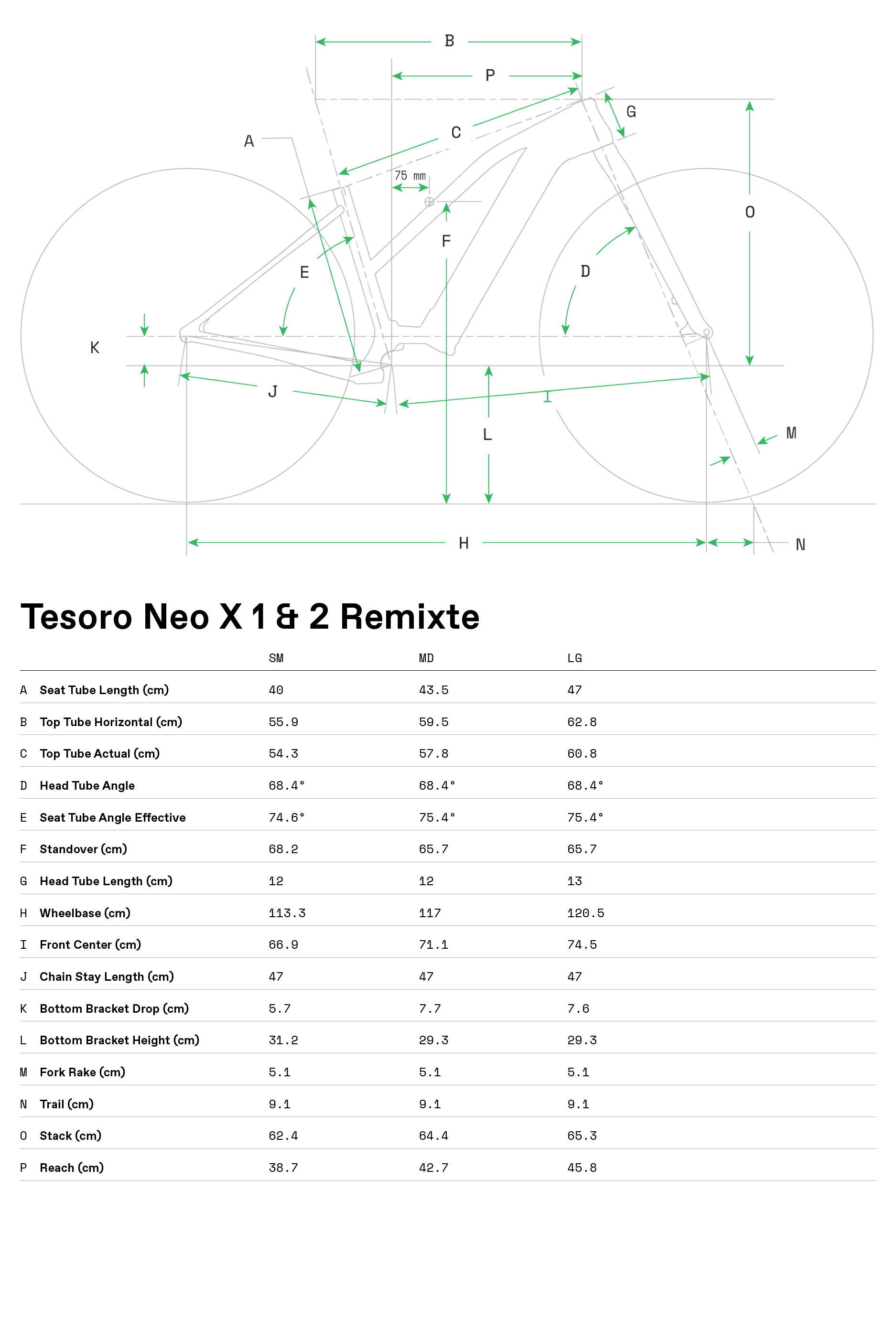 cannondale tesoro neo 2 2019