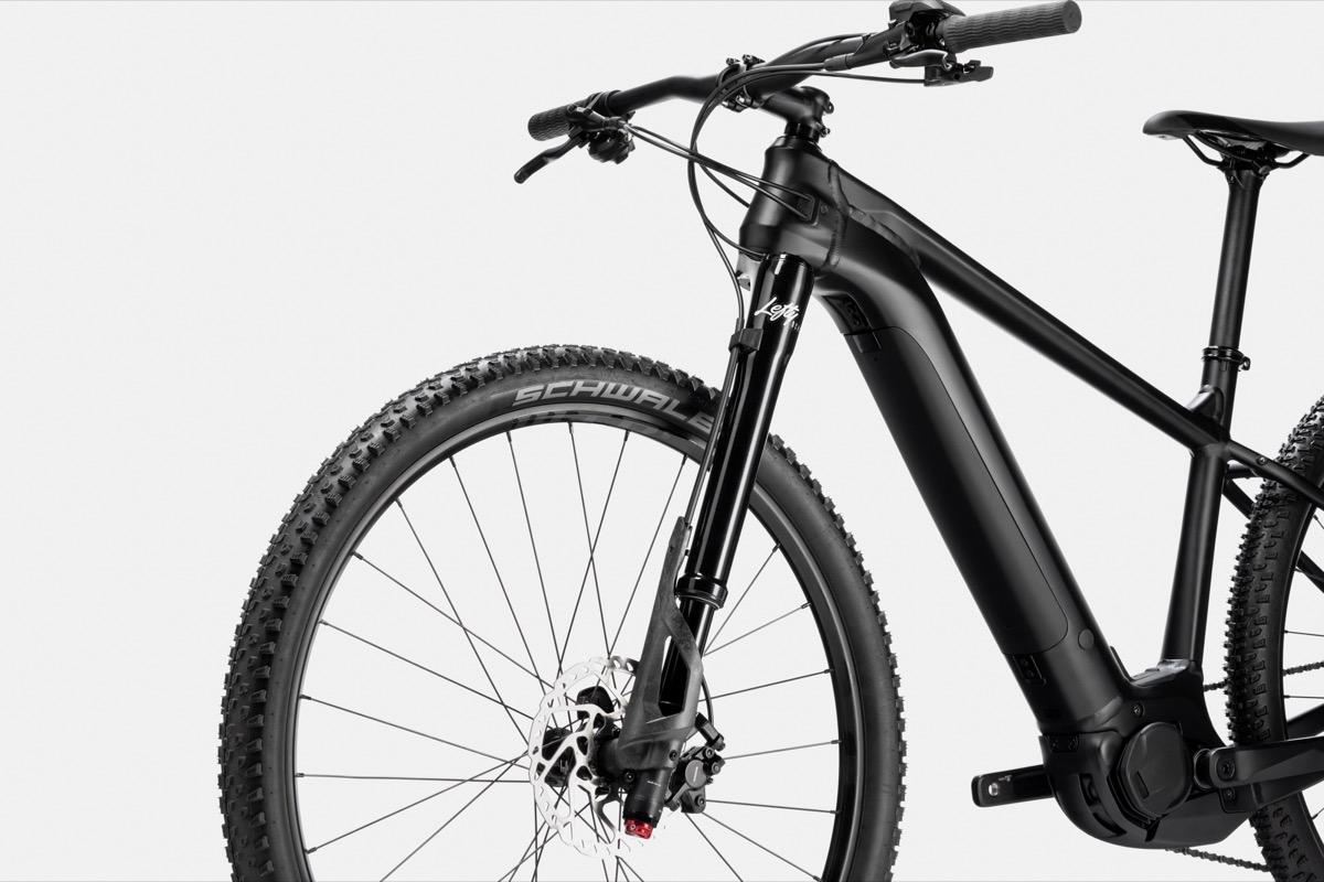 cannondale trail neo 2 2019