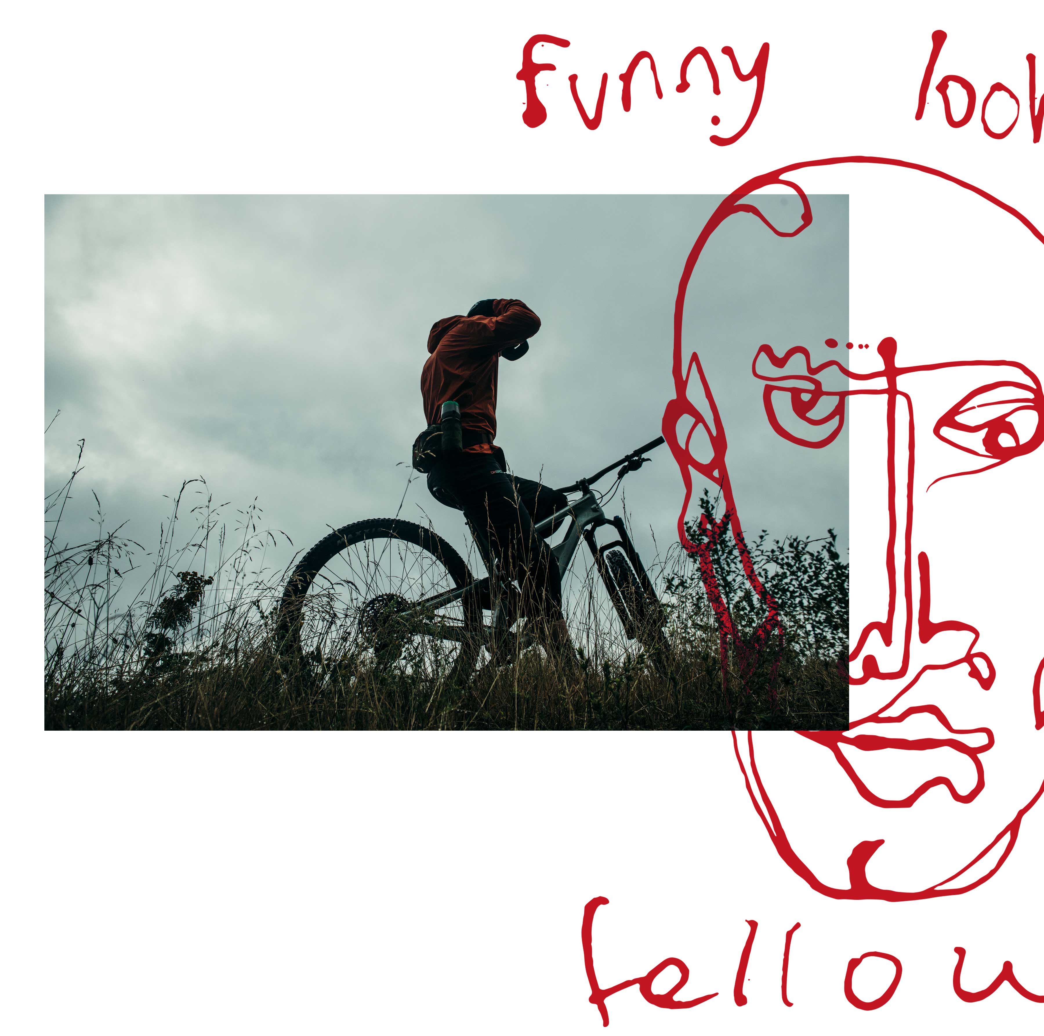 Habit Trail Bikes Cannondale