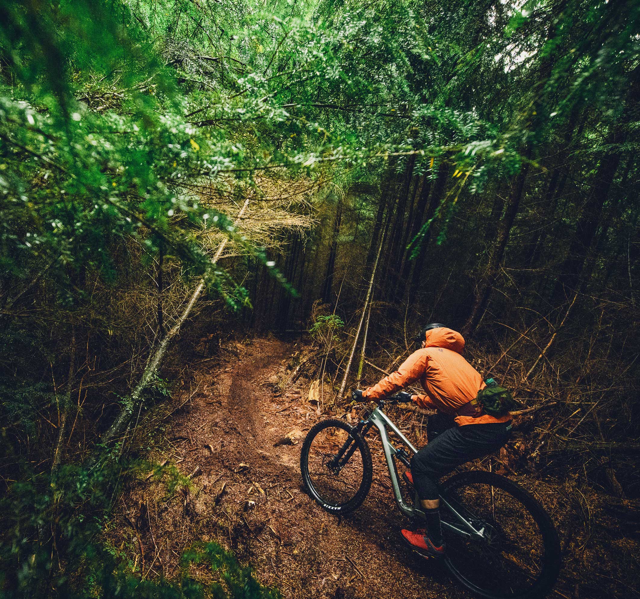 Habit Trail Bikes Cannondale