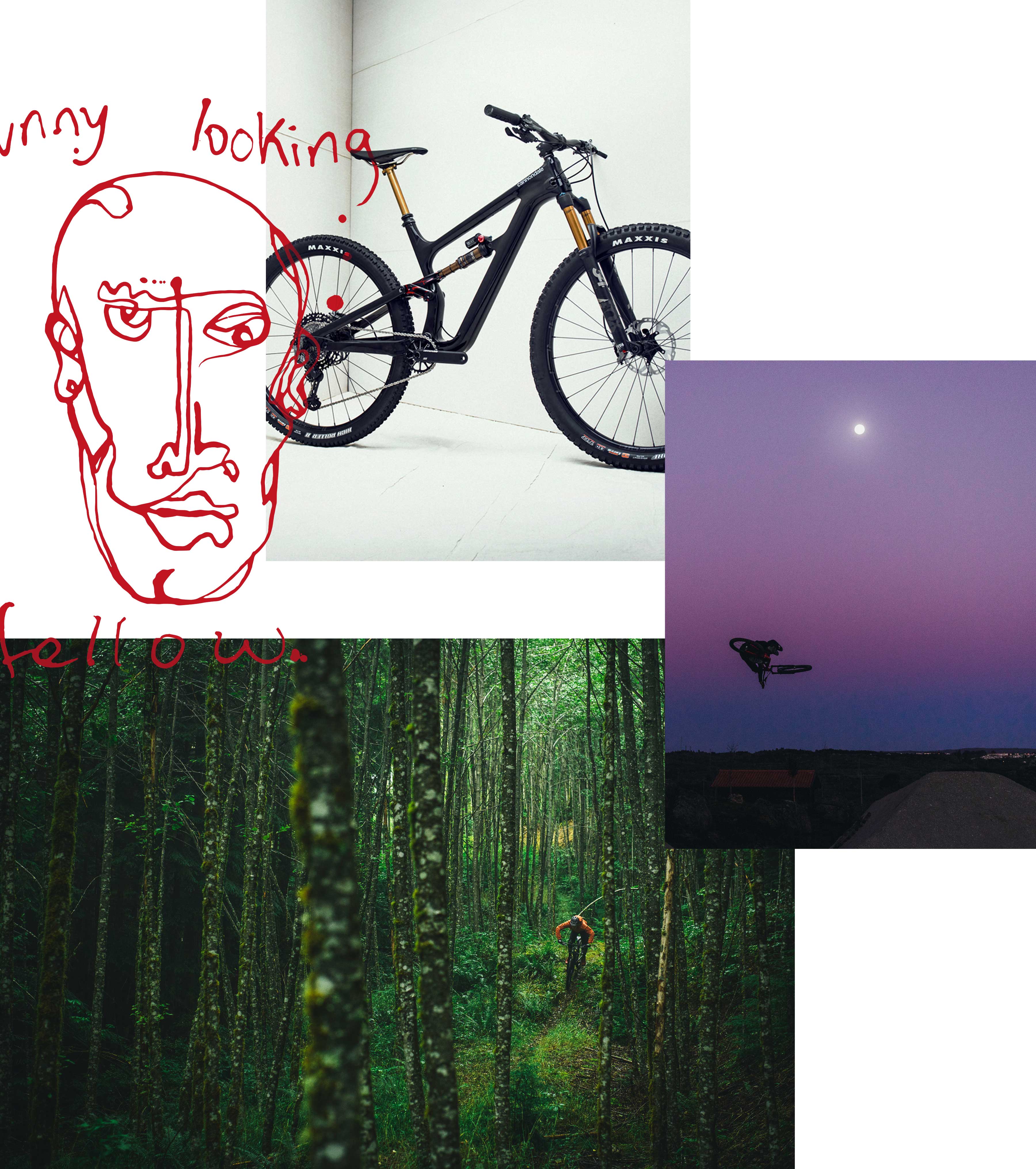 Habit Trail Mountain