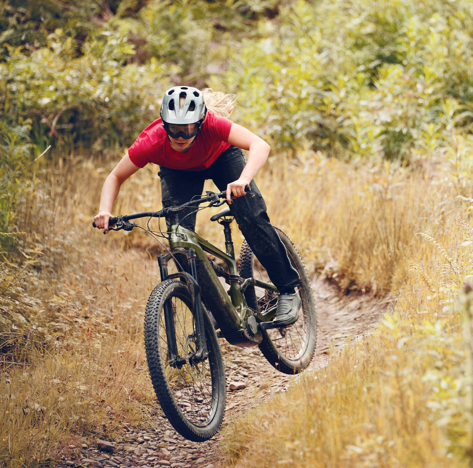 Habit Trail Bikes Cannondale