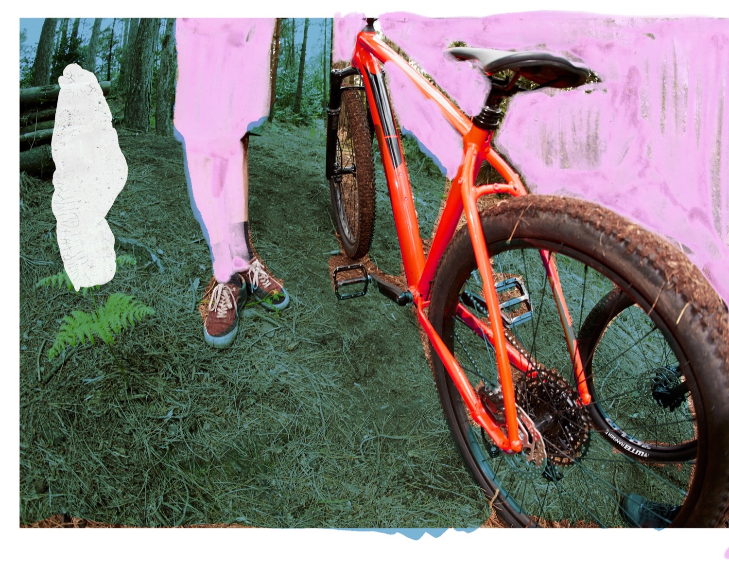 Tango Trail Bikes Cannondale