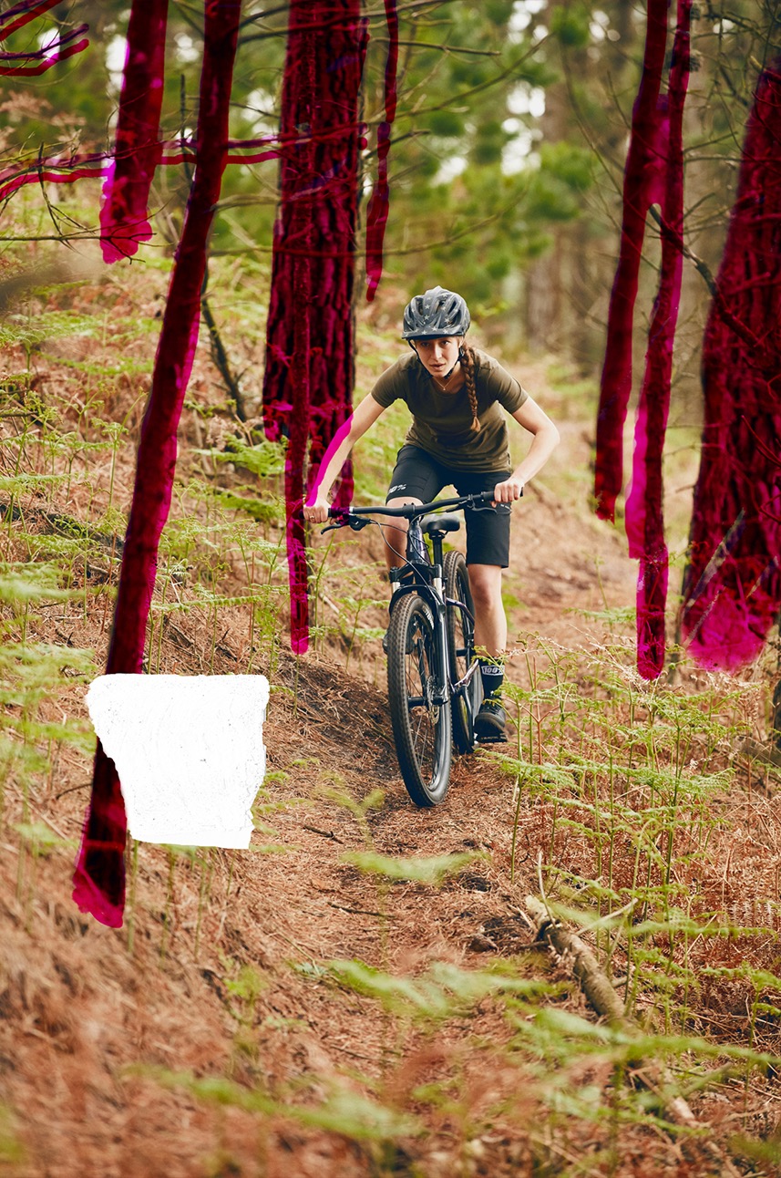 Tango Trail Bikes Cannondale