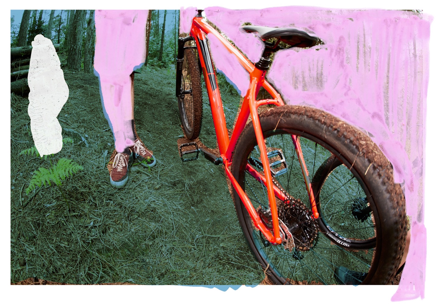 Trail Trail Bikes Cannondale