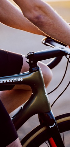 cannondale synapse 2019 models