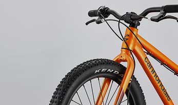 Kids Cujo 20 5 To 8 Bikes Cannondale
