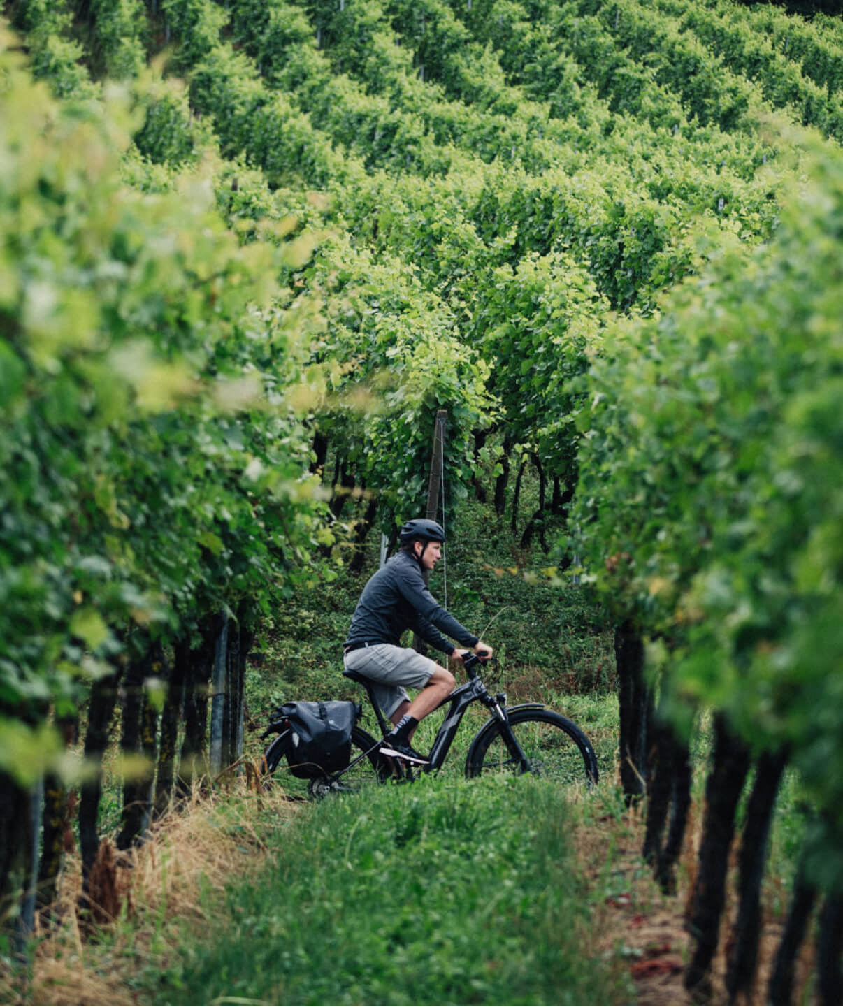 a man riding a bicycle