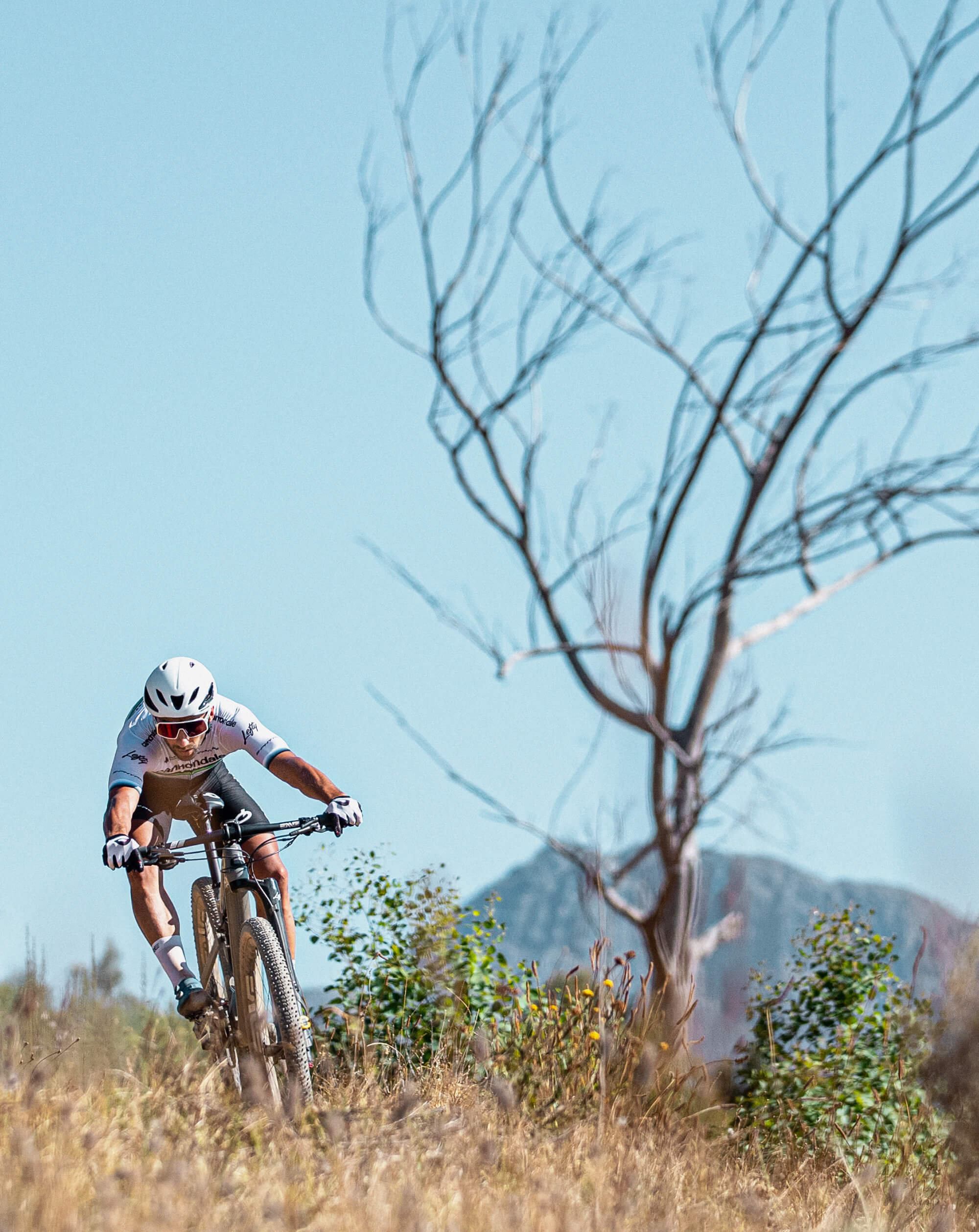 Scalpel Cross Country Bikes Cannondale