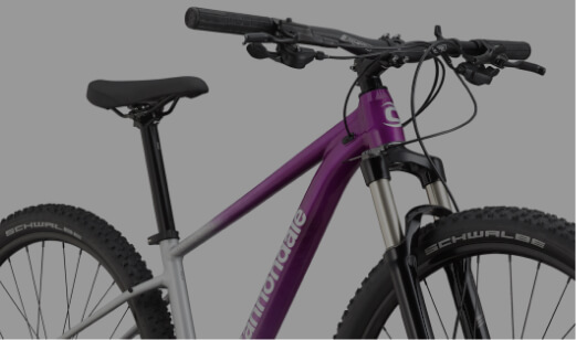 Cannondale trail 4 womens clearance