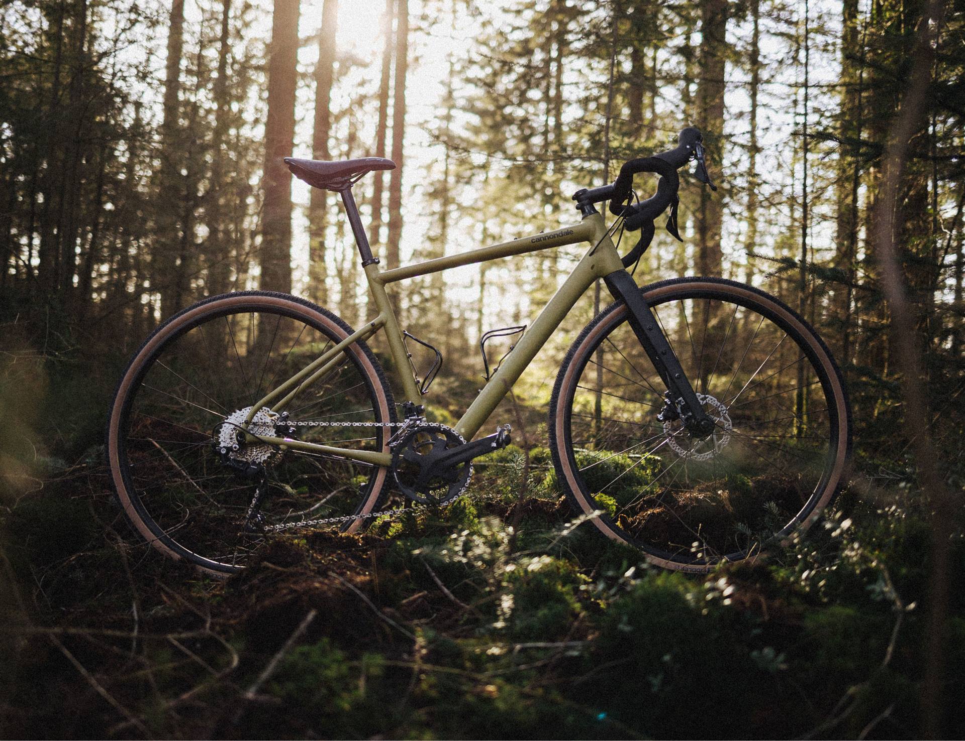 a bicycle in the woods