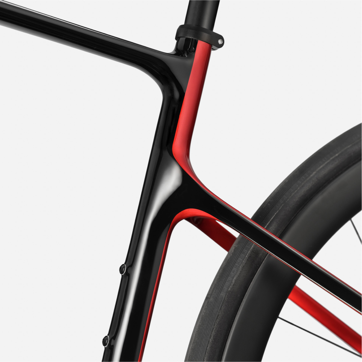 Synapse Neo