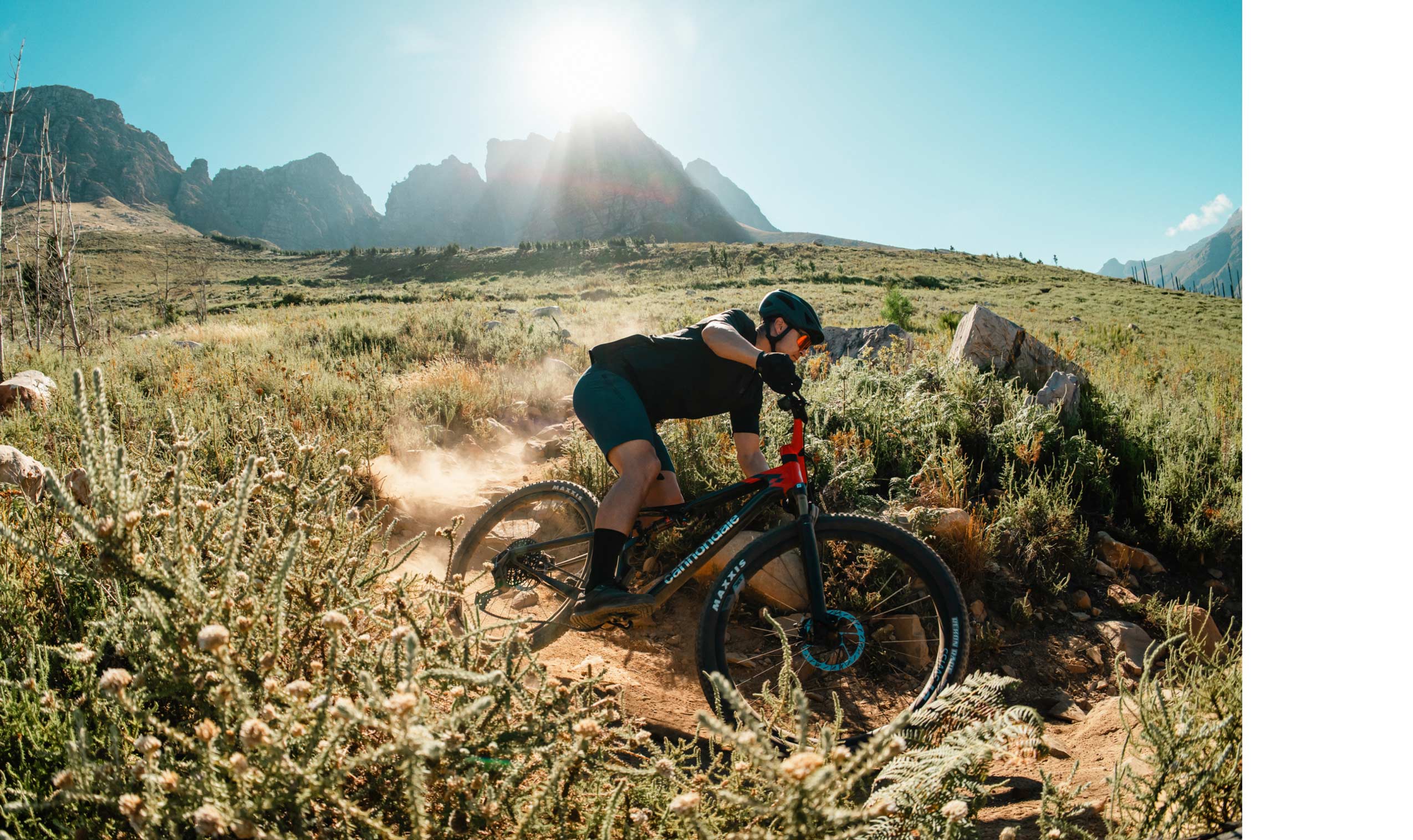 Scalpel 2 | XC Race Bikes | Full Suspension MTB's | Cannondale Scalpel 2 | XC Race Bikes | Full Suspension MTB's | Cannondale