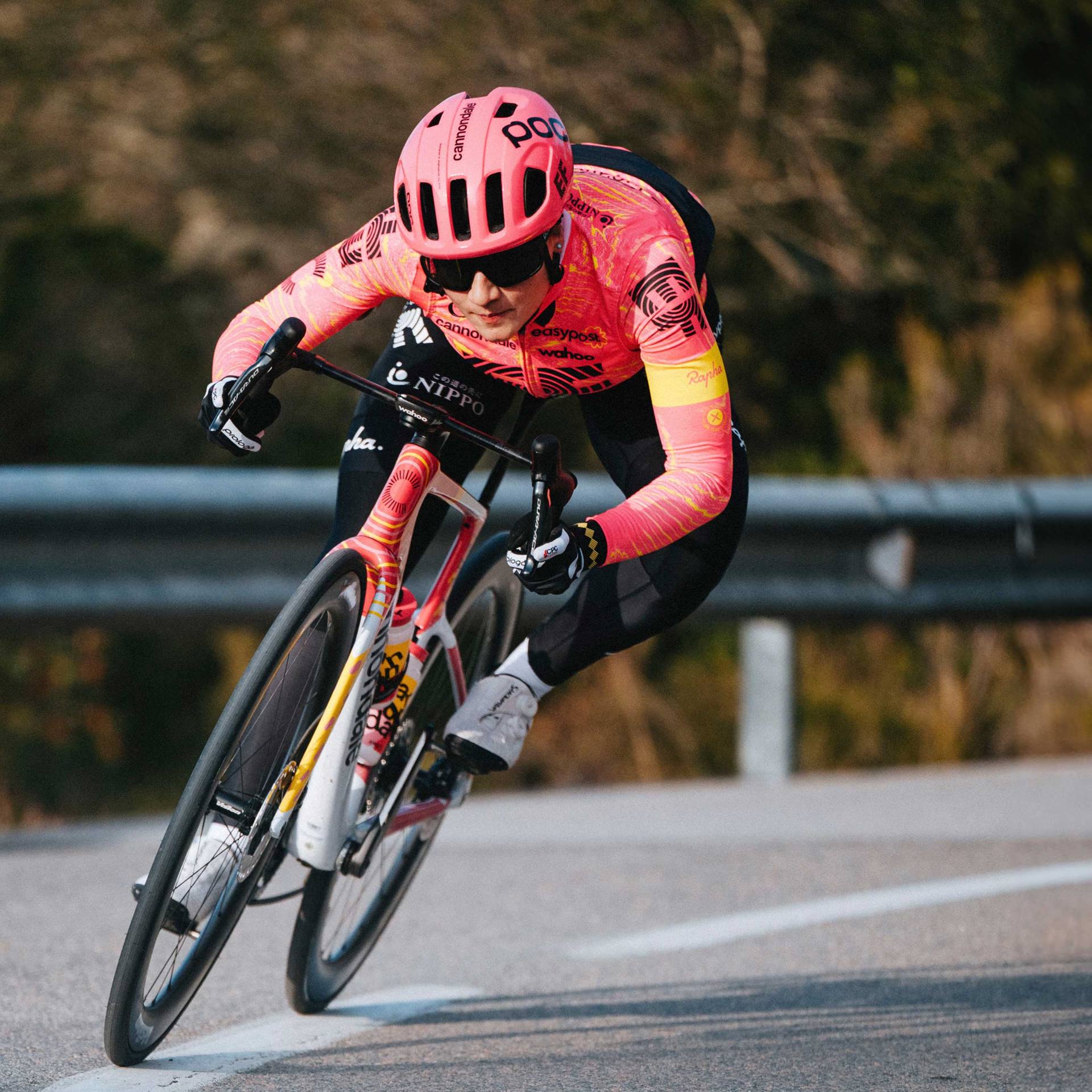 Cannondale supersix evo team outlet