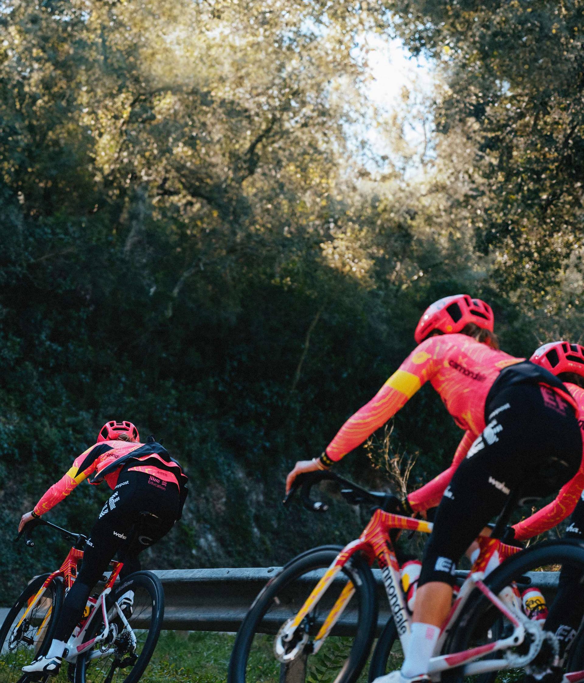 SuperSix EVO LAB71 Team EF Pro Frameset | Road Race Bikes | Cannondale